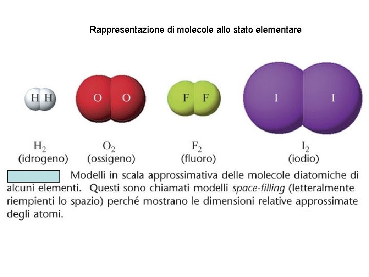 Figura 2 -2 Modelli in scala approssimativa delle molecole diatomiche Rappresentazione di molecole allo