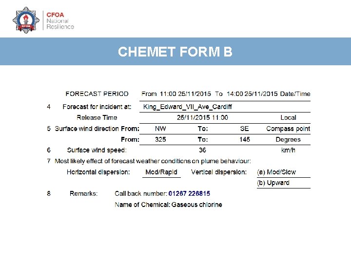CHEMET FORM B 