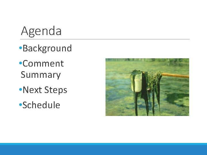 Agenda • Background • Comment Summary • Next Steps • Schedule 