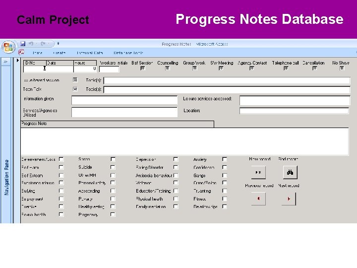 Calm Project Progress Databases Notes Database 
