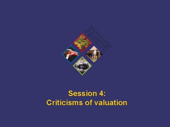 Session 4: Criticisms of valuation TEEB Training 