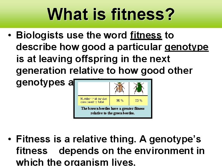 What is fitness? • Biologists use the word fitness to describe how good a What is fitness? • Biologists use the word fitness to describe how good a
