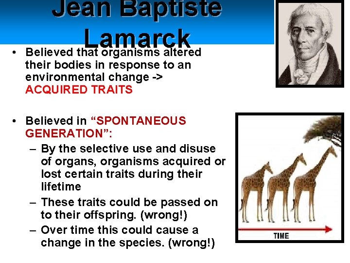 • Jean Baptiste Lamarck Believed that organisms altered their bodies in response to • Jean Baptiste Lamarck Believed that organisms altered their bodies in response to