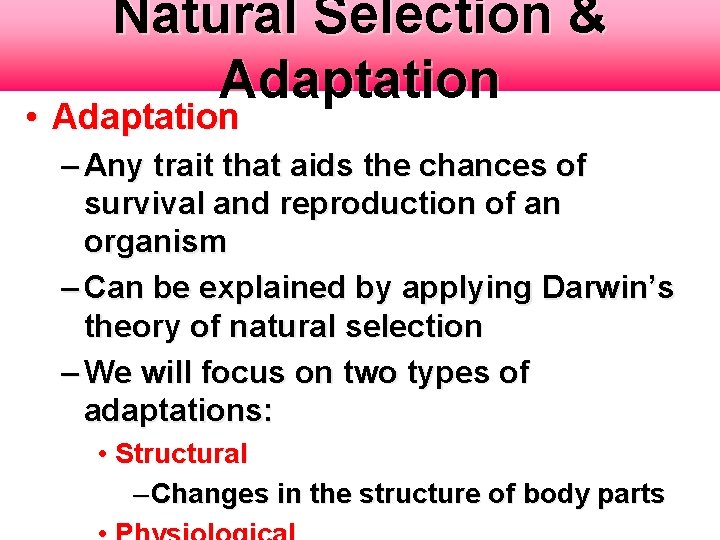 Natural Selection & Adaptation • Adaptation – Any trait that aids the chances of Natural Selection & Adaptation • Adaptation – Any trait that aids the chances of