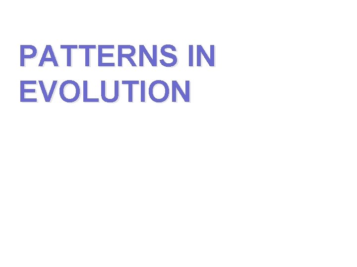 PATTERNS IN EVOLUTION PATTERNS IN EVOLUTION