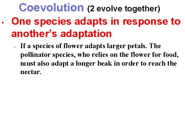 Coevolution (2 evolve together) • One species adapts in response to another’s adaptation – Coevolution (2 evolve together) • One species adapts in response to another’s adaptation –
