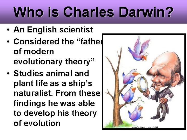 Who is Charles Darwin? • An English scientist • Considered the “father of modern Who is Charles Darwin? • An English scientist • Considered the “father of modern