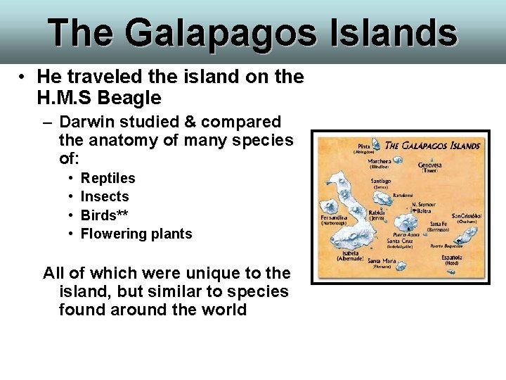 The Galapagos Islands • He traveled the island on the H. M. S Beagle The Galapagos Islands • He traveled the island on the H. M. S Beagle