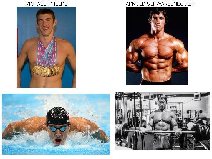 MICHAEL PHELPS ARNOLD SCHWARZENEGGER MICHAEL PHELPS ARNOLD SCHWARZENEGGER