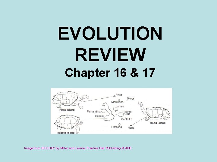 EVOLUTION REVIEW Chapter 16 & 17 Image from BIOLOGY by Miller and Levine; Prentice