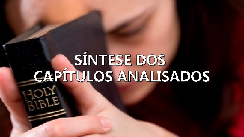 SÍNTESE DOS CAPÍTULOS ANALISADOS 