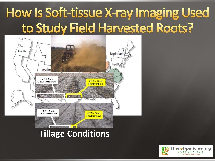 How Is Soft-tissue X-ray Imaging Used to Study Field Harvested Roots? Production Regions Tillage