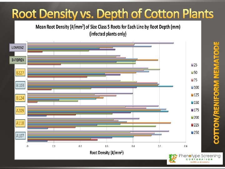 Root Density vs. Depth of Cotton Plants 
