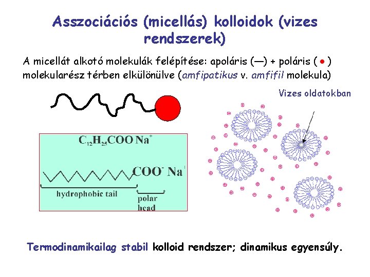 Asszociációs (micellás) kolloidok (vizes rendszerek) ● A micellát alkotó molekulák felépítése: apoláris ( ―)