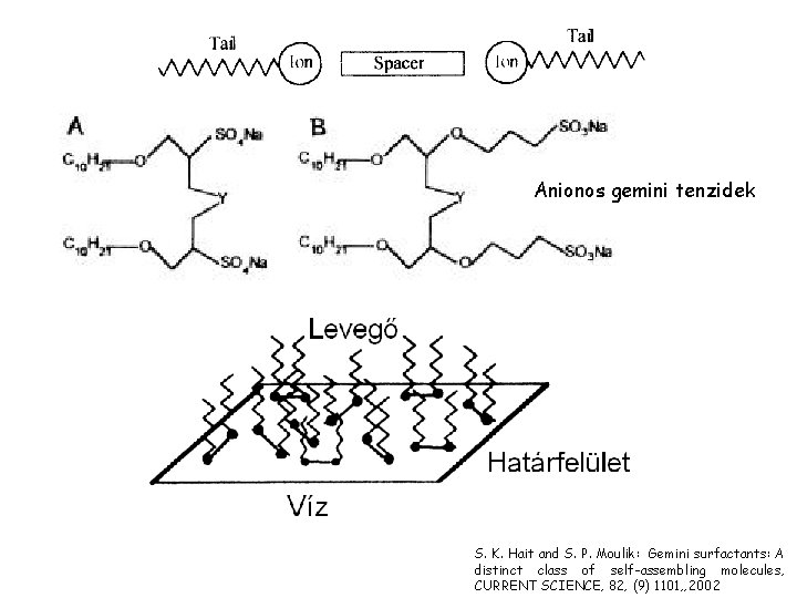 Anionos gemini tenzidek S. K. Hait and S. P. Moulik: Gemini surfactants: A distinct