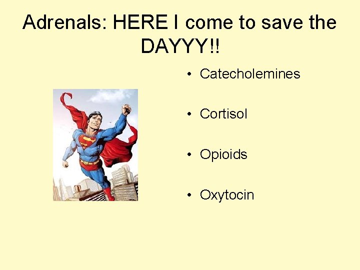 Adrenals: HERE I come to save the DAYYY!! • Catecholemines • Cortisol • Opioids