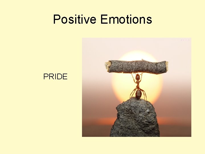 Positive Emotions PRIDE 