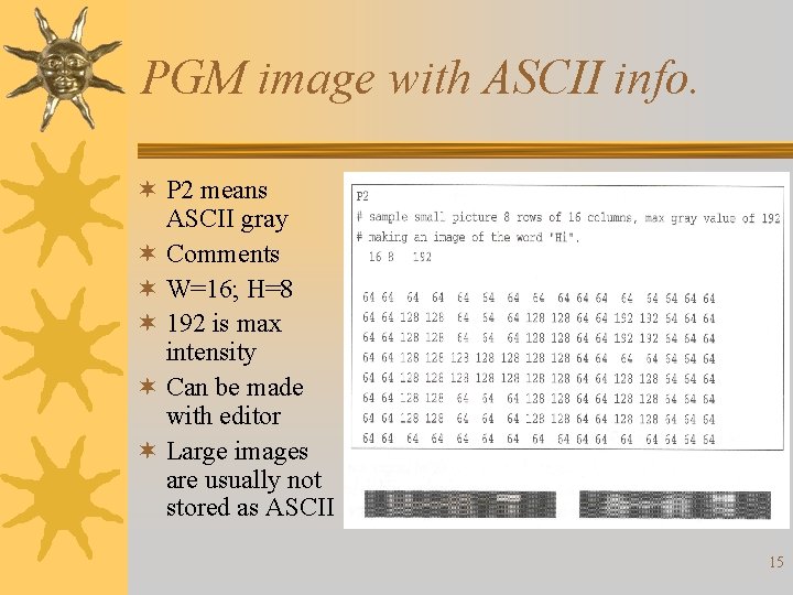 PGM image with ASCII info. ¬ P 2 means ASCII gray ¬ Comments ¬