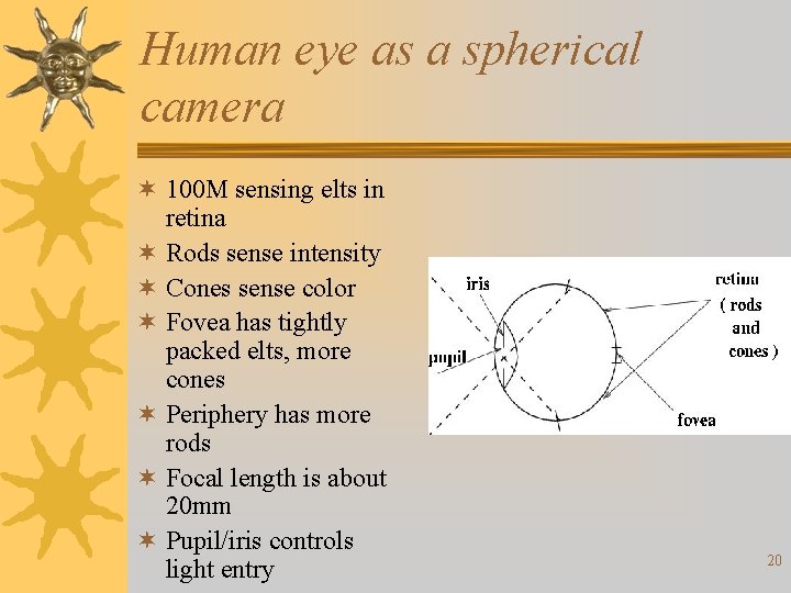 Human eye as a spherical camera ¬ 100 M sensing elts in retina ¬