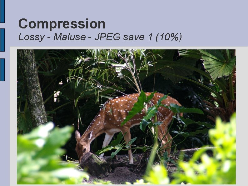 Compression Lossy - Maluse - JPEG save 1 (10%) 