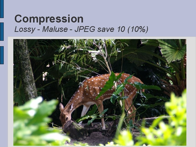 Compression Lossy - Maluse - JPEG save 10 (10%) 