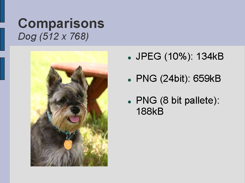 Comparisons Dog (512 x 768) JPEG (10%): 134 k. B PNG (24 bit): 659