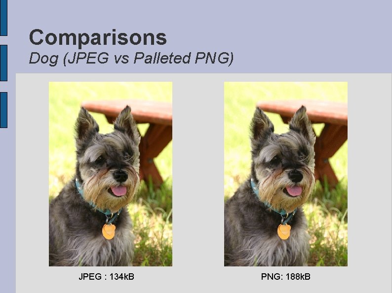 Comparisons Dog (JPEG vs Palleted PNG) JPEG : 134 k. B PNG: 188 k.