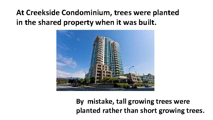 At Creekside Condominium, trees were planted in the shared property when it was built.