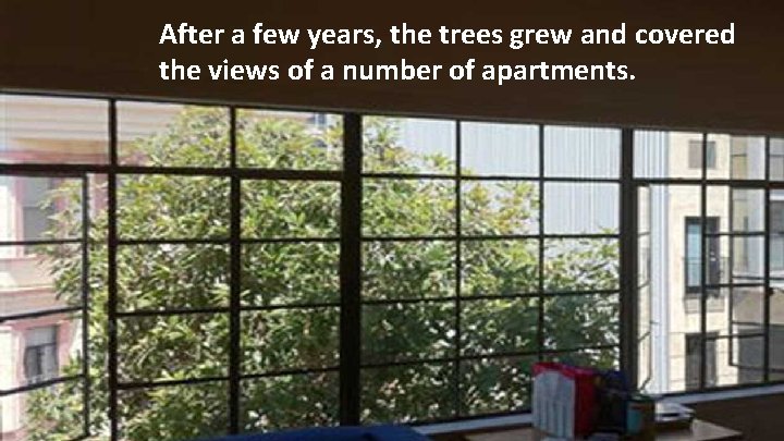 After a few years, the trees grew and covered the views of a number