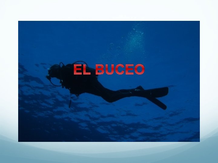 EL BUCEO 