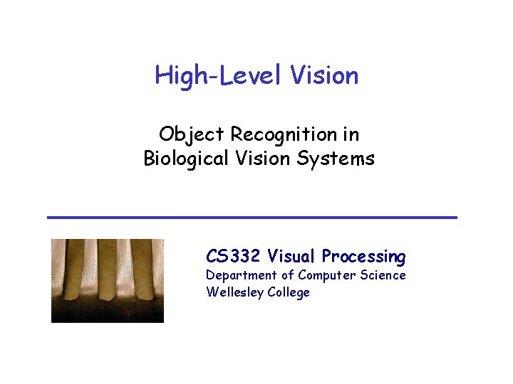 High-Level Vision Object Recognition in Biological Vision Systems CS 332 Visual Processing Department of
