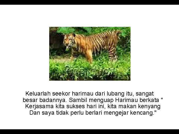 Keluarlah seekor harimau dari lubang itu, sangat besar badannya. Sambil menguap Harimau berkata "