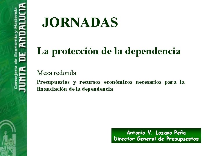 JORNADAS La protección de la dependencia Mesa redonda Presupuestos y recursos económicos necesarios para