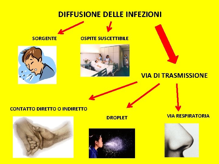 DIFFUSIONE DELLE INFEZIONI SORGENTE OSPITE SUSCETTIBILE VIA DI TRASMISSIONE CONTATTO DIRETTO O INDIRETTO DROPLET