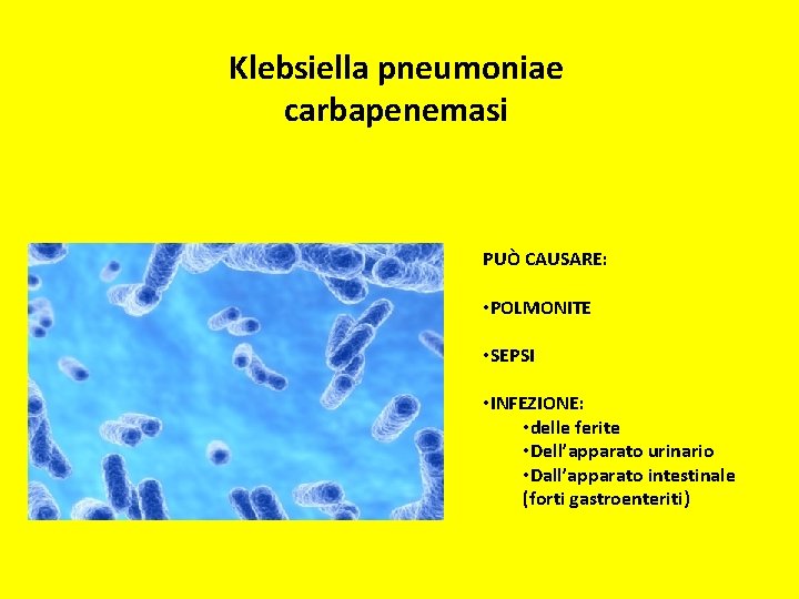 Klebsiella pneumoniae carbapenemasi PUÒ CAUSARE: • POLMONITE • SEPSI • INFEZIONE: • delle ferite