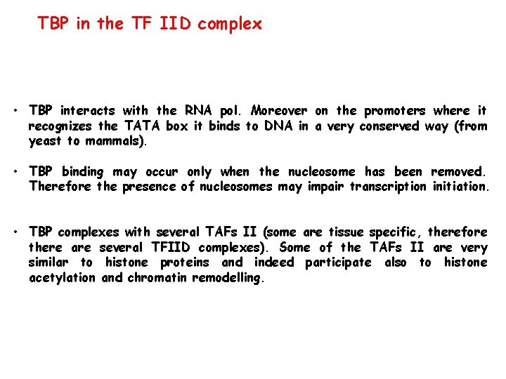 TBP in the TF IID complex • TBP interacts with the RNA pol. Moreover