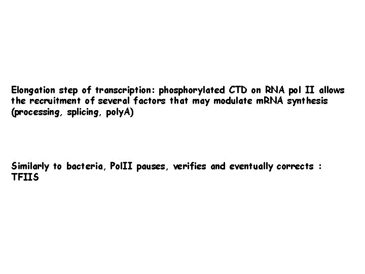 Elongation step of transcription: phosphorylated CTD on RNA pol II allows the recruitment of