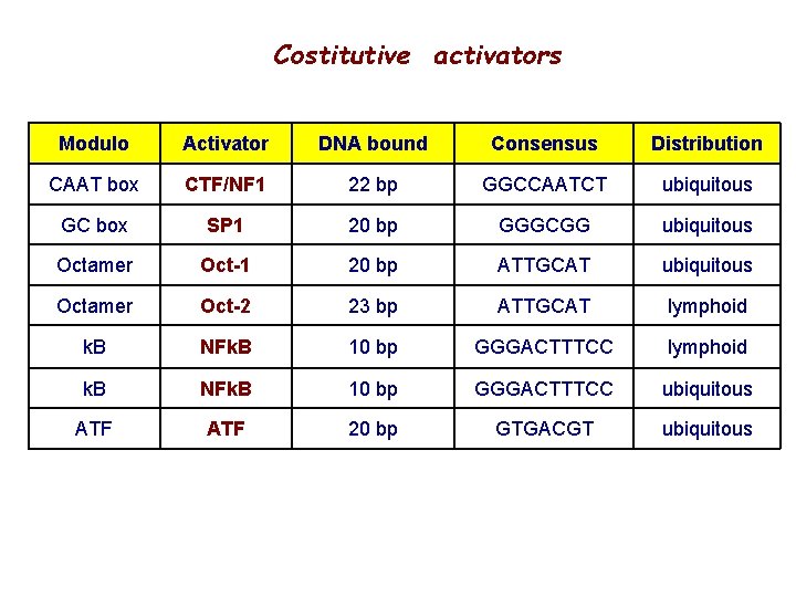 Costitutive activators Modulo Activator DNA bound Consensus Distribution CAAT box CTF/NF 1 22 bp