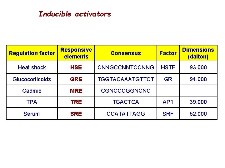 Inducible activators Regulation factor Responsive elements Consensus Factor Dimensions (dalton) Heat shock HSE CNNGCCNNTCCNNG