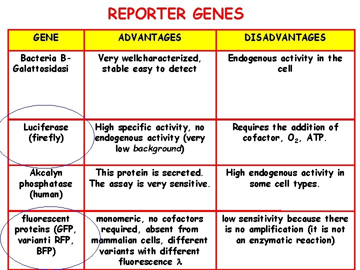 REPORTER GENES GENE ADVANTAGES DISADVANTAGES Bacteria BGalattosidasi () Very wellcharacterized, stable easy to detect