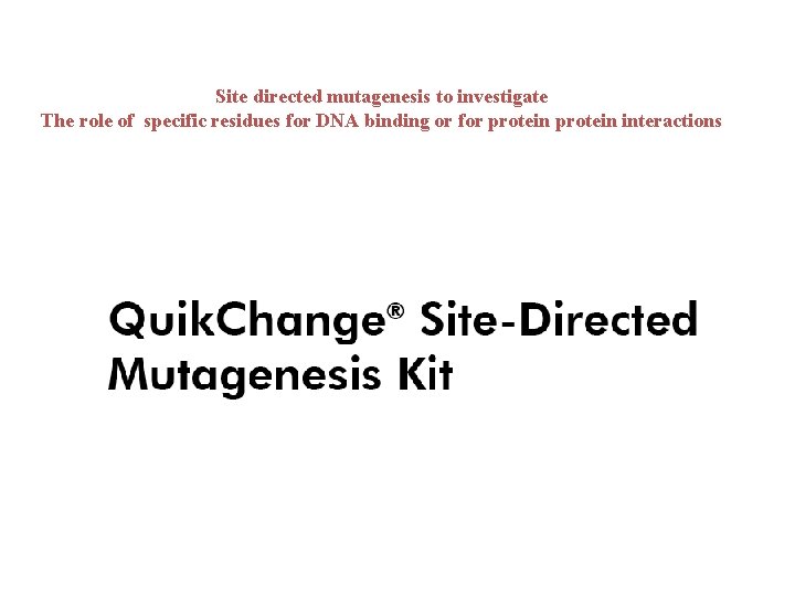 Site directed mutagenesis to investigate The role of specific residues for DNA binding or