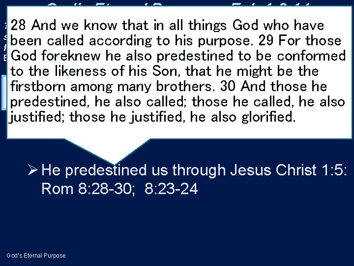 God’s Eternal Purpose—Eph 1: 3 -14 To 28 bless us with his God pleasurewho