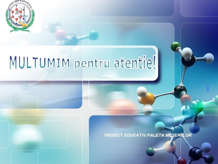 PROIECT EDUCATIV PALETA MESERIILOR 
