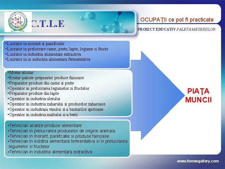 C. T. L. E OCUPAŢII ce pot fi practicate PROIECT EDUCATIV PALETA MESERIILOR •