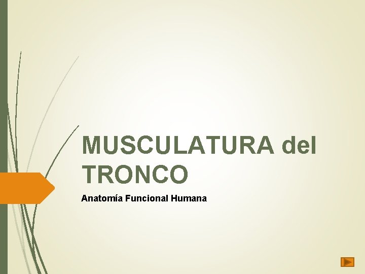 MUSCULATURA del TRONCO Anatomía Funcional Humana 