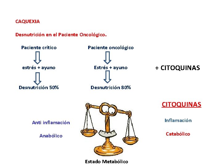 CAQUEXIA Desnutrición en el Paciente Oncológico. Paciente crítico Paciente oncológico estrés + ayuno Estrés