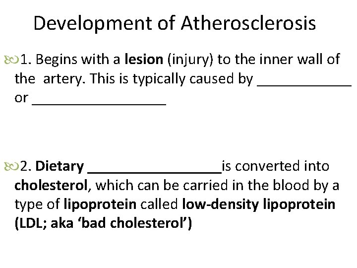 Development of Atherosclerosis 1. Begins with a lesion (injury) to the inner wall of