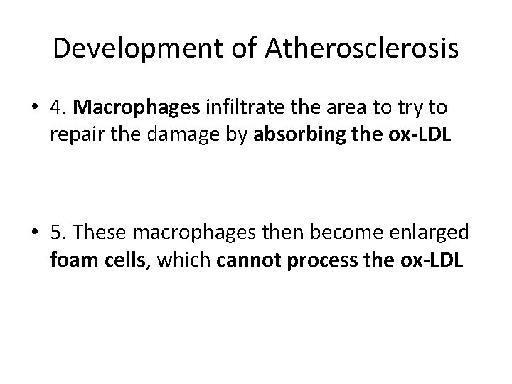 Development of Atherosclerosis • 4. Macrophages infiltrate the area to try to repair the