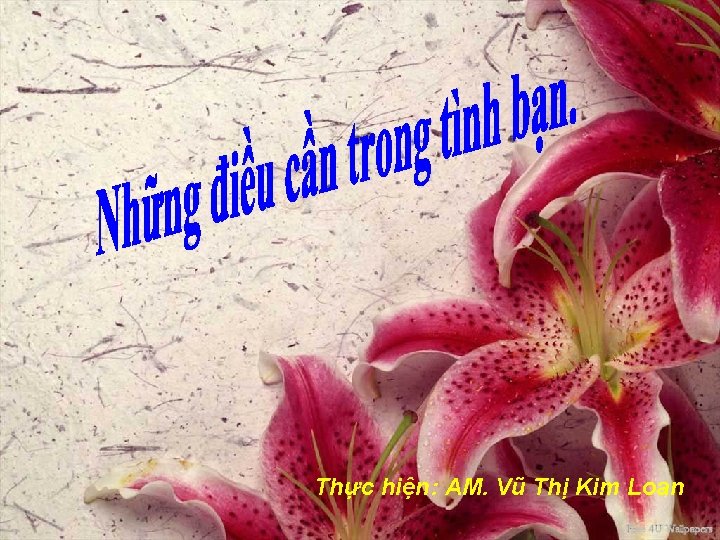 Thực hiện: AM. Vũ Thị Kim Loan Thực hiện: AM. Kim Loan 