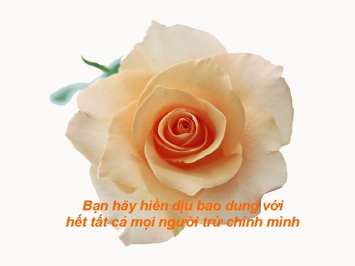 Bạn hãy hiền dịu bao dung với hết tất cả mọi người trừ chính
